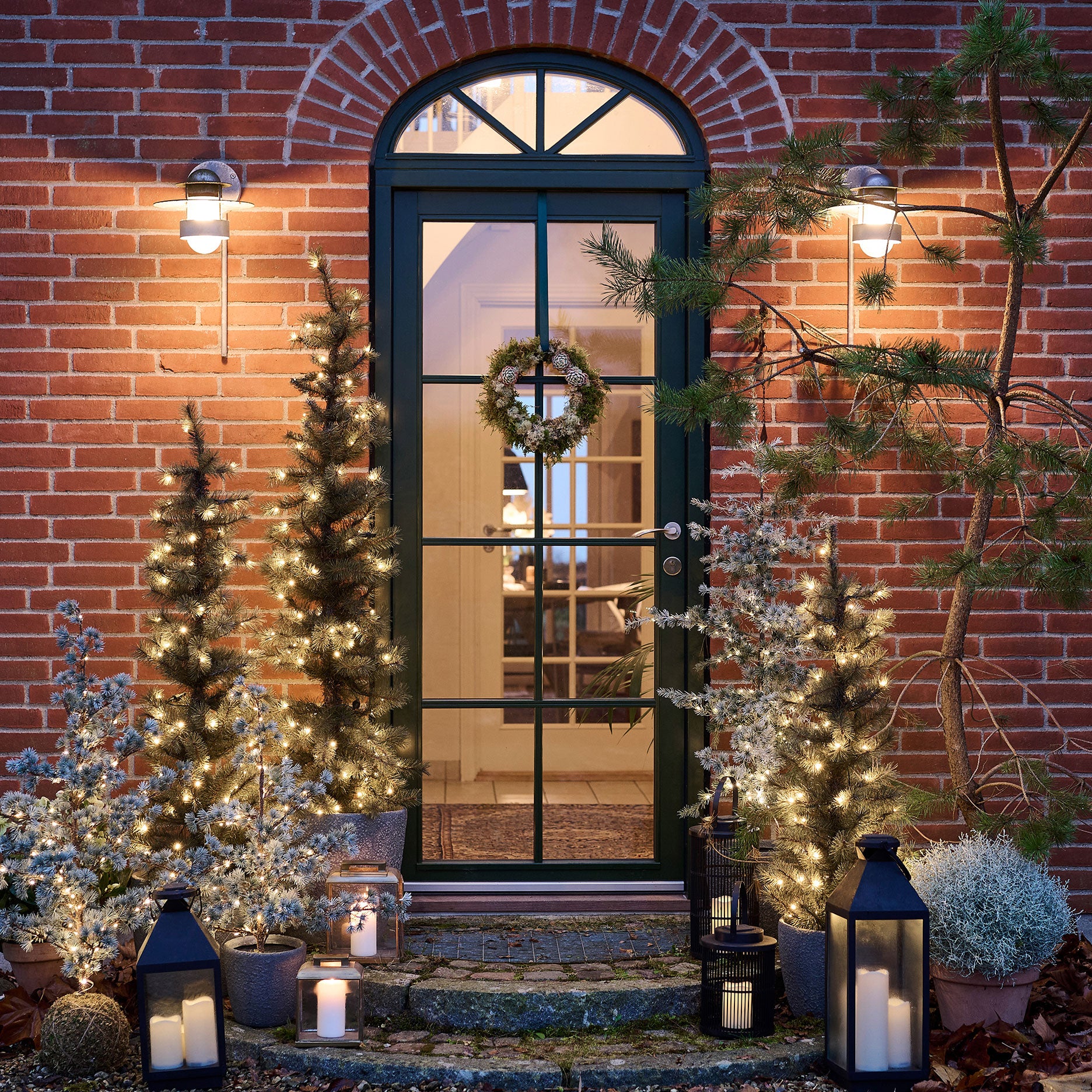 Festive Zedernbaum mit LED